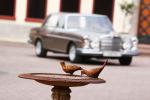 Mercedes-Benz 300 SEL 6.3 by VATH 2012 года